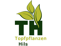Topfpflanzen Hils
